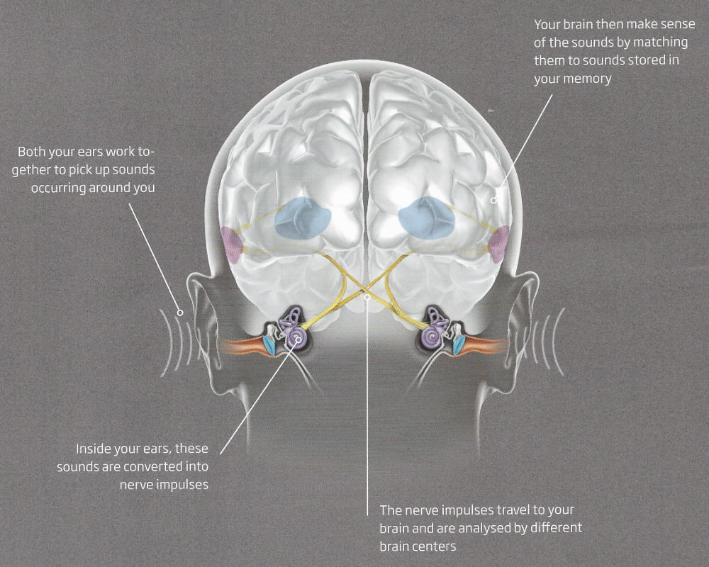 hearing perception